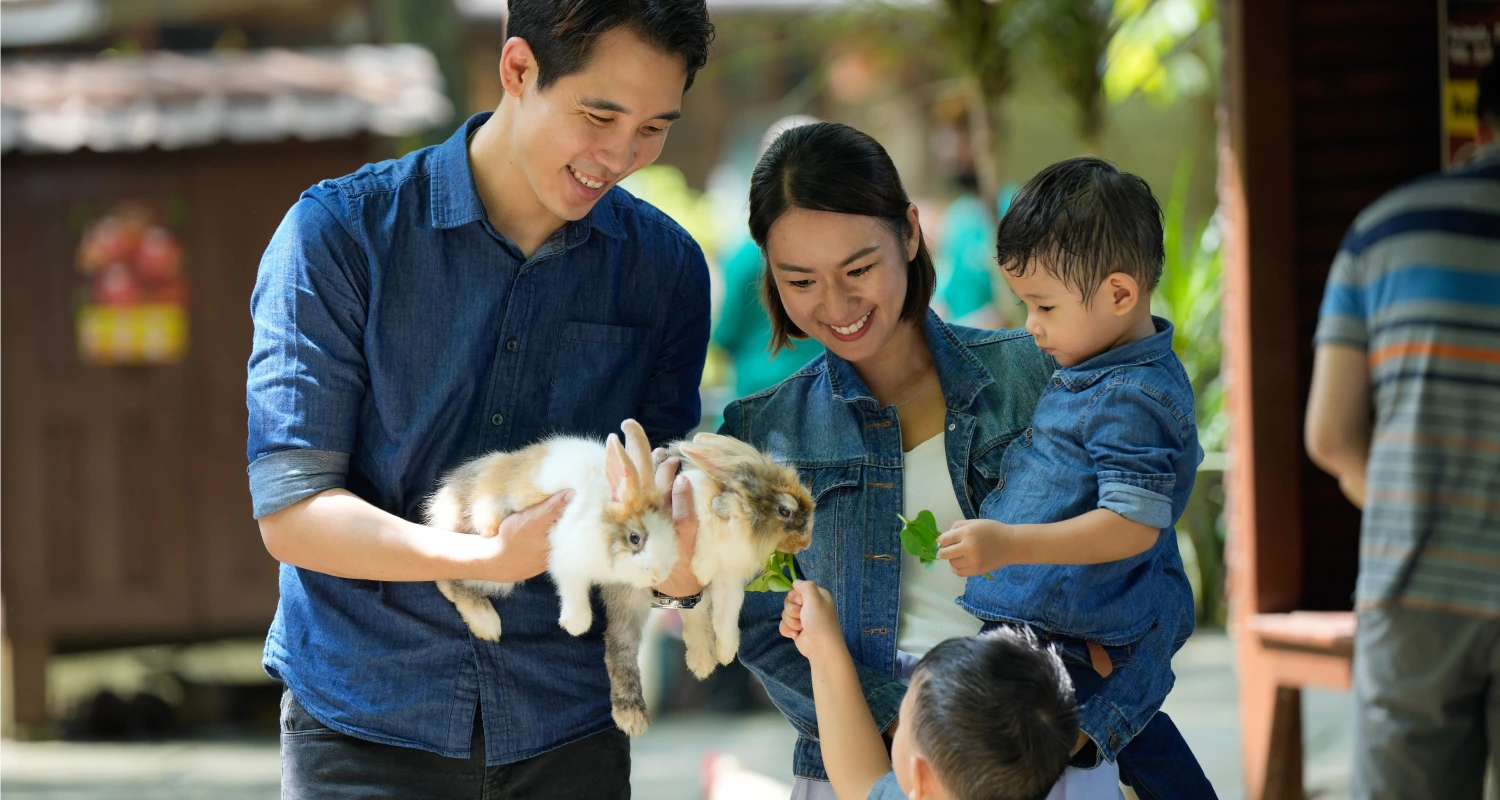 farm-in-the-ciity