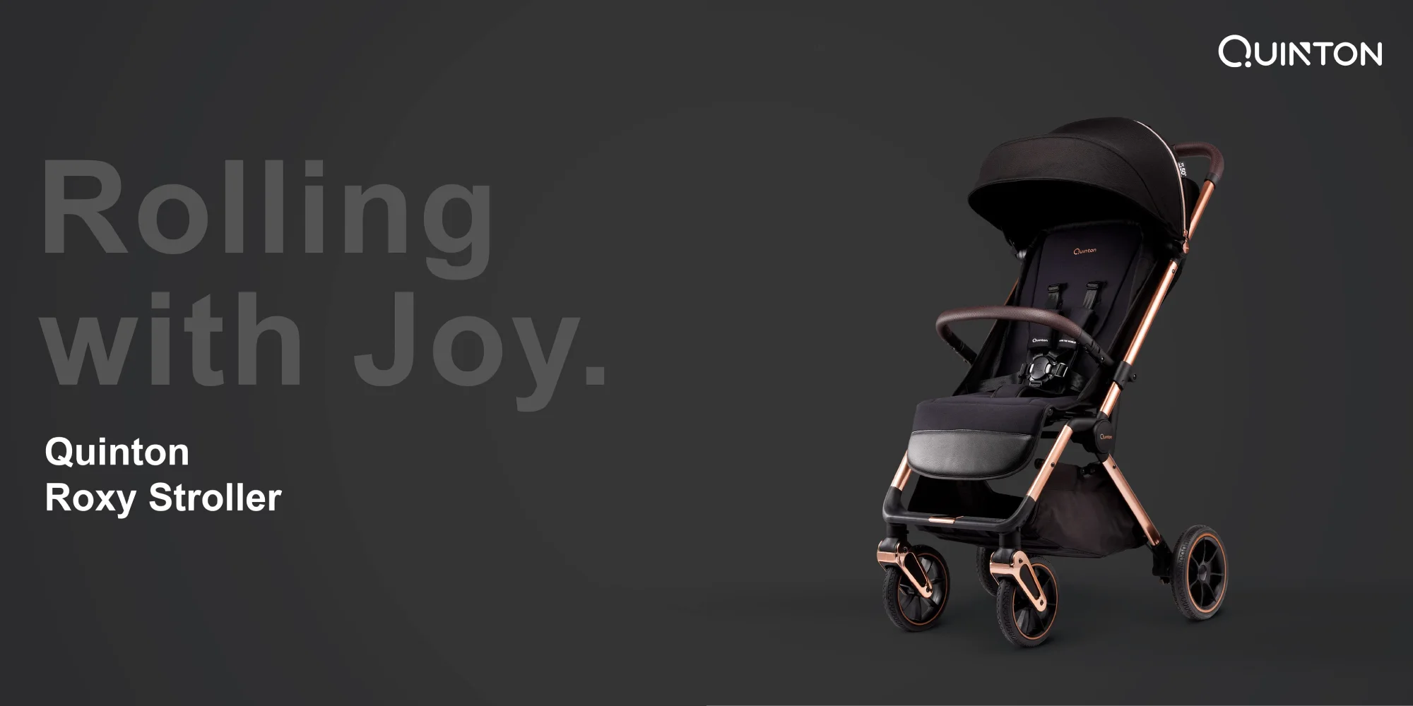 Top 10 Best Quinton Baby Products